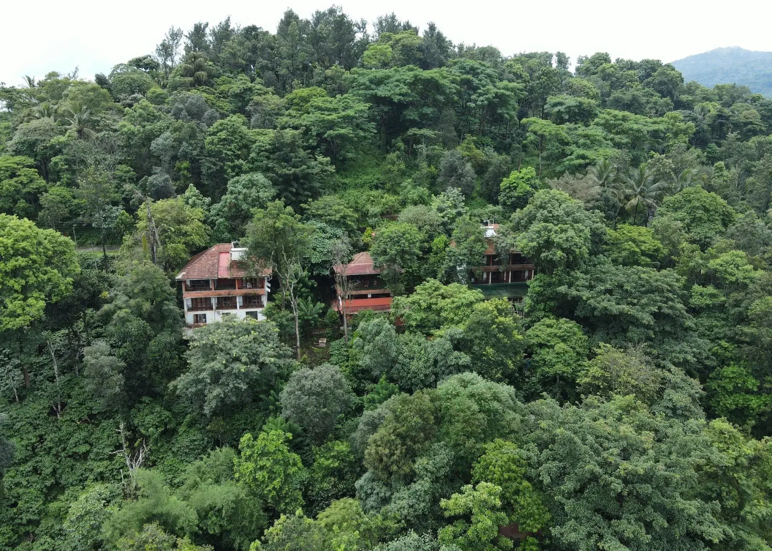 Planet Green Plantation Resorts, Wayanad, Kerala