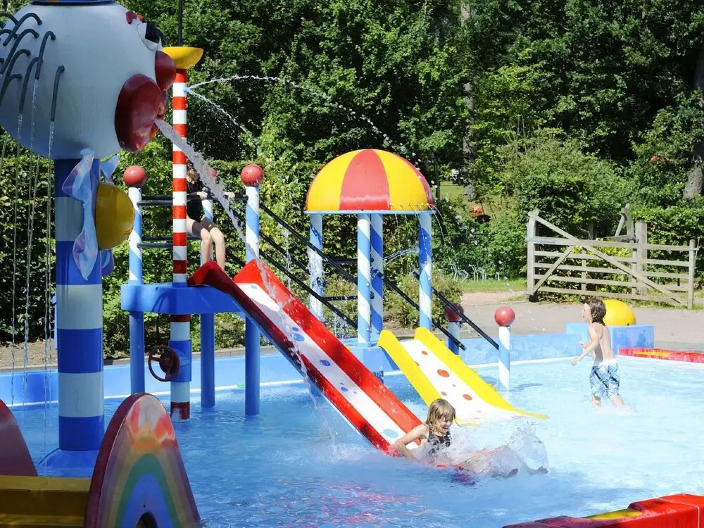Unique House wit Roof Terrace near Assen
