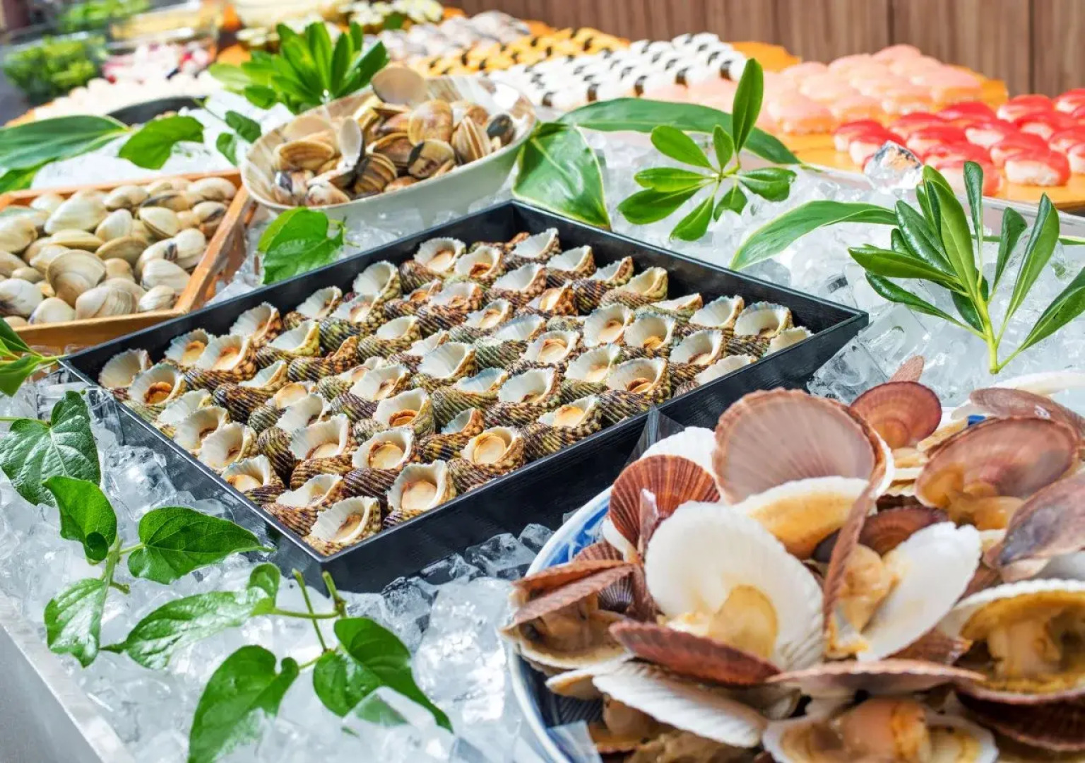 Shirahama Ocean Resort