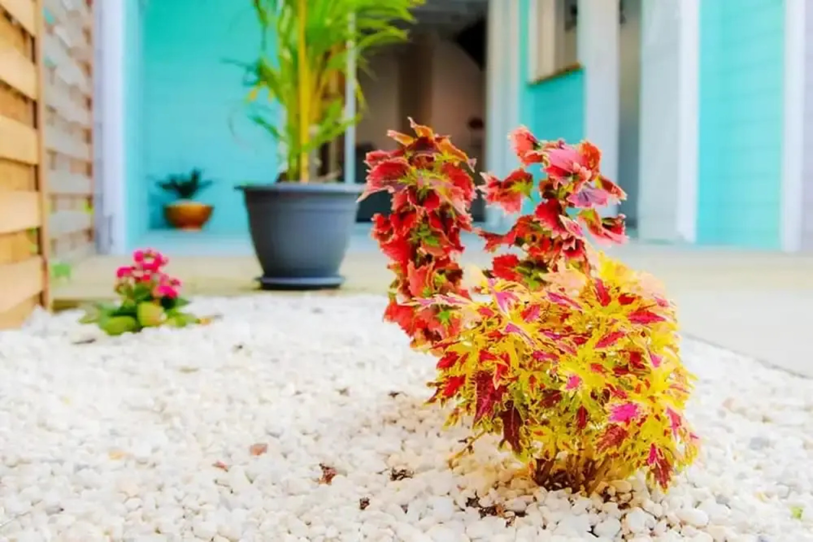 House with 2 Bedrooms in Les Trois-Îlets, with Enclosed Garden And Wifi - 2 Km From the Beach