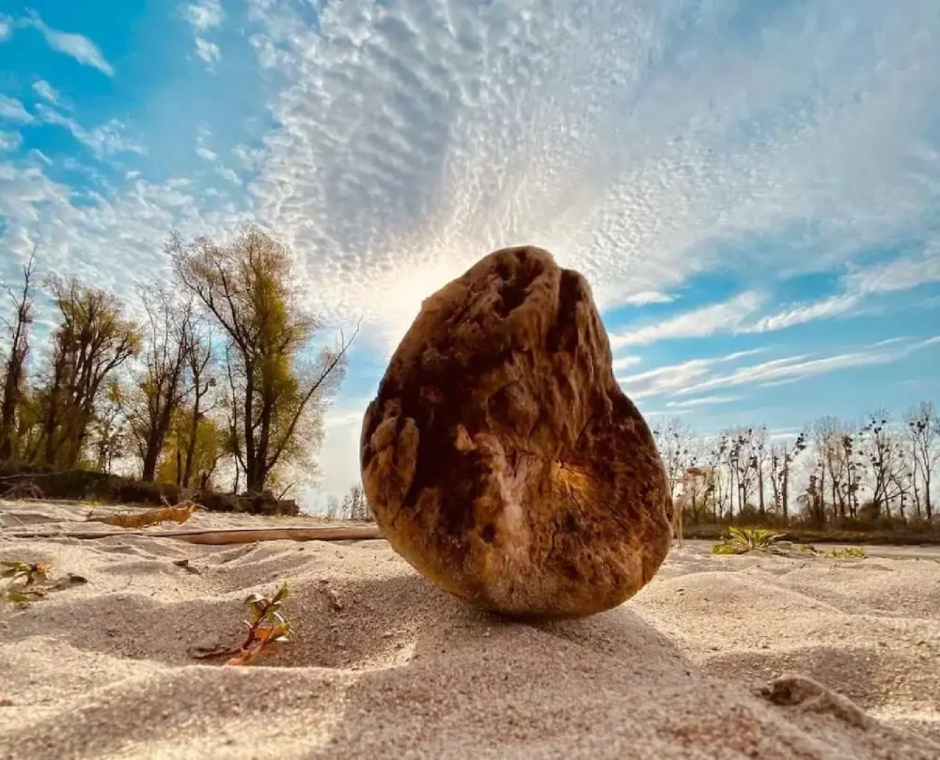 Ferienwohnung Bellissima