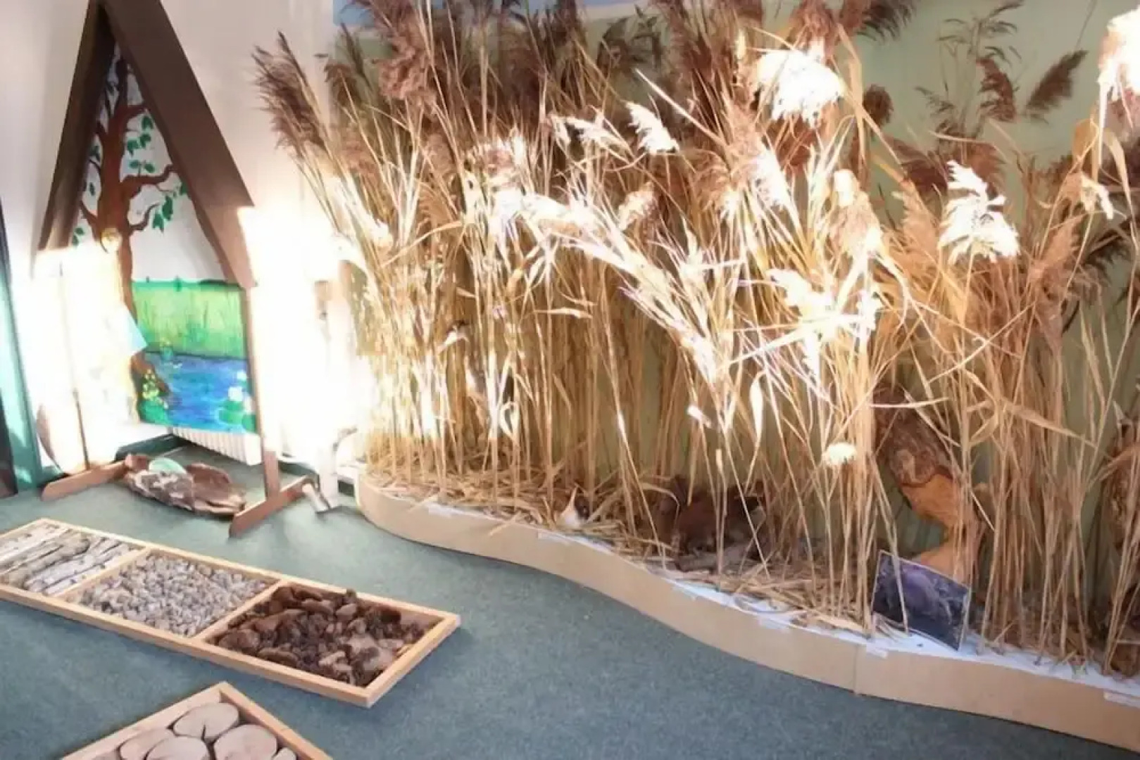 budget seezeit-resort am Werbellinsee