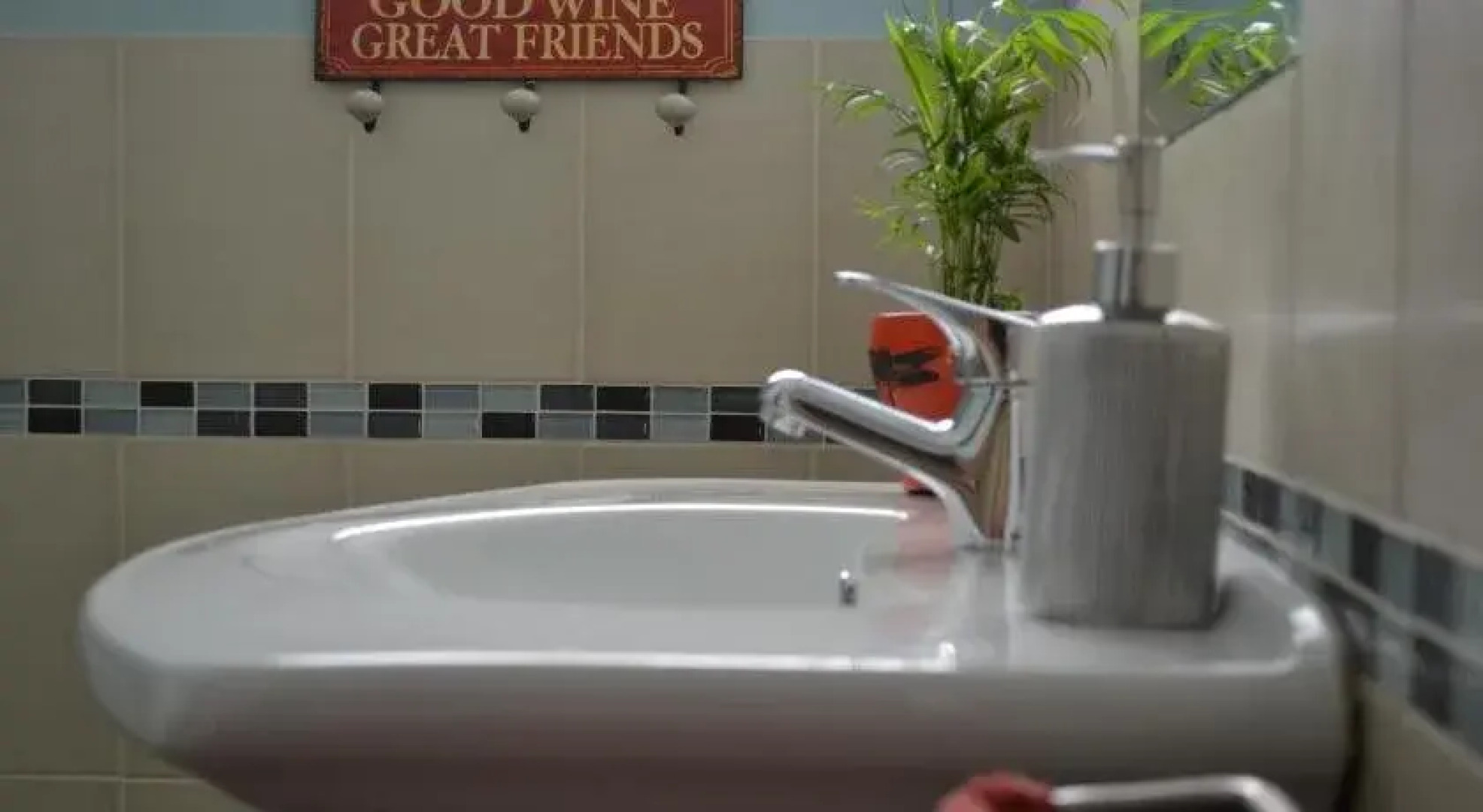 Friends at McLaren Vale