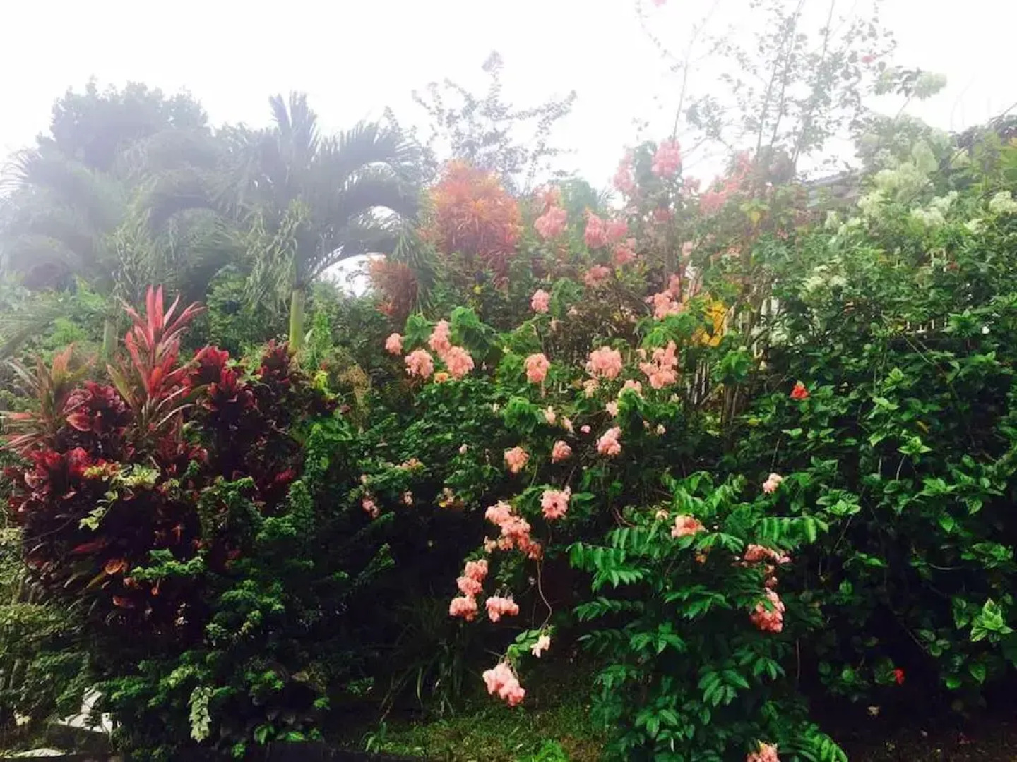 Holiday home Perriolat François