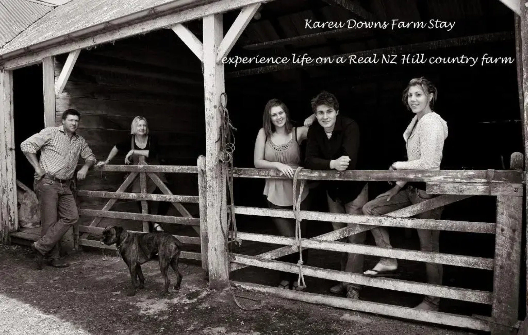 Karetu Downs Farmstay