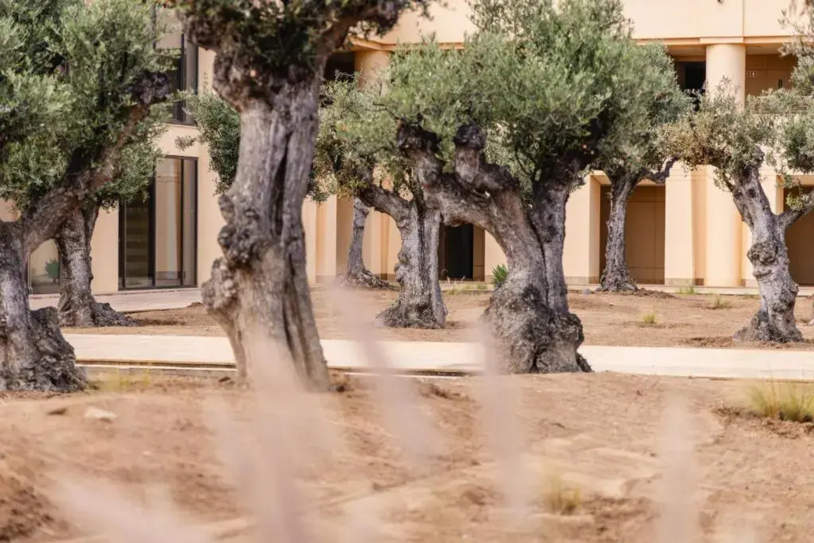 The Navigator - Colombus All Inclusive