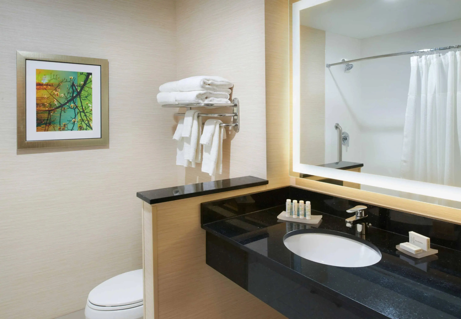 Fairfield Inn & Suites by Marriott Detroit Troy