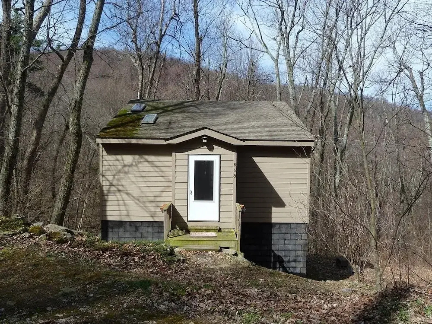 A_wild_woods_retreat