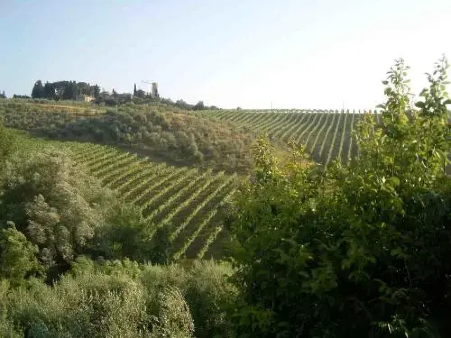 Agriturismo Podere Cappella