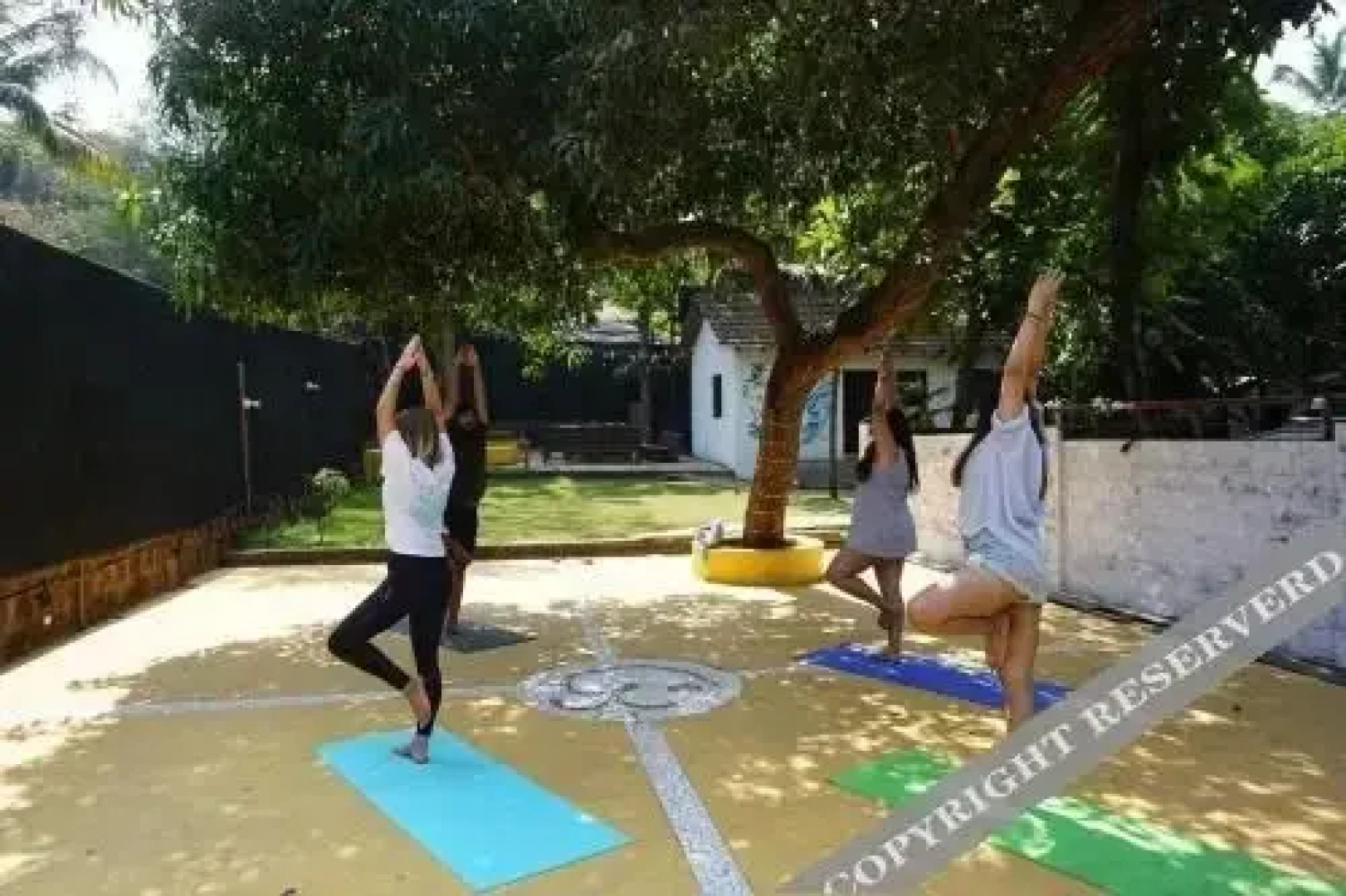 The Funky Monkey Hostel