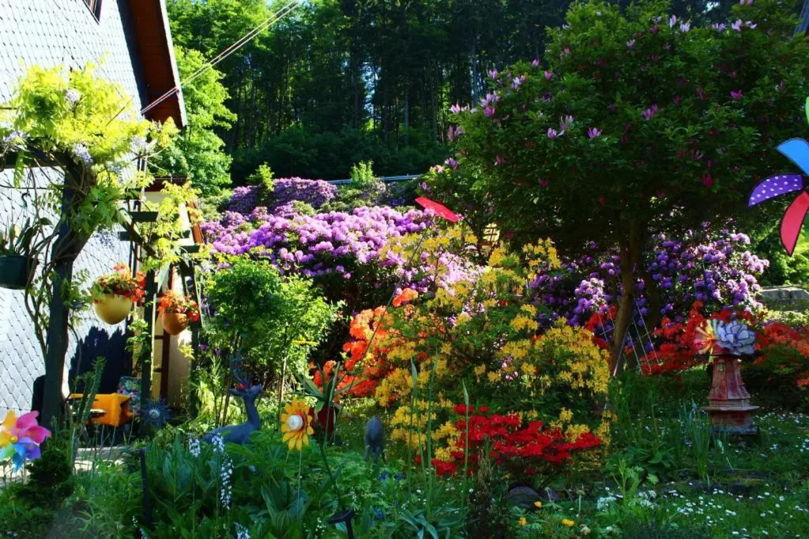 Ferienwohnung Baacke