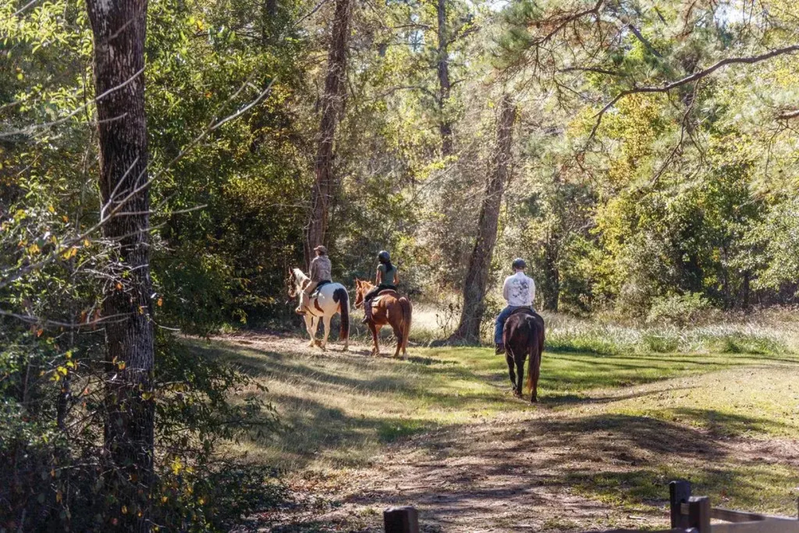 Holiday Inn Club Vacations Piney Shores Resort
