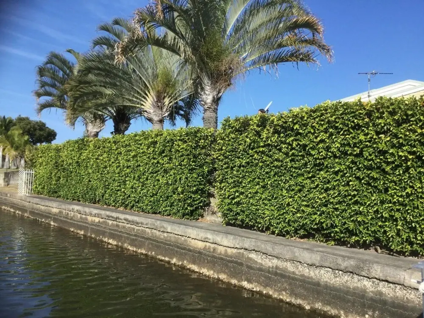 Private Canal Duplex with Pontoon - Oleander Drive, Bongaree