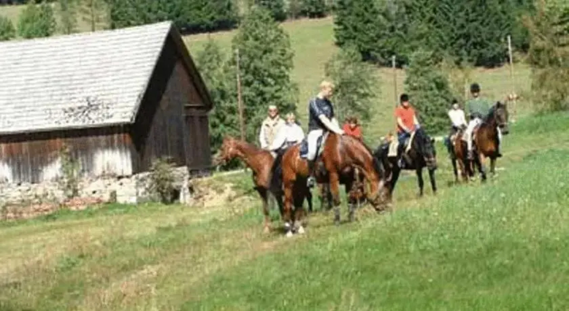 Reiterhof Stöglehner