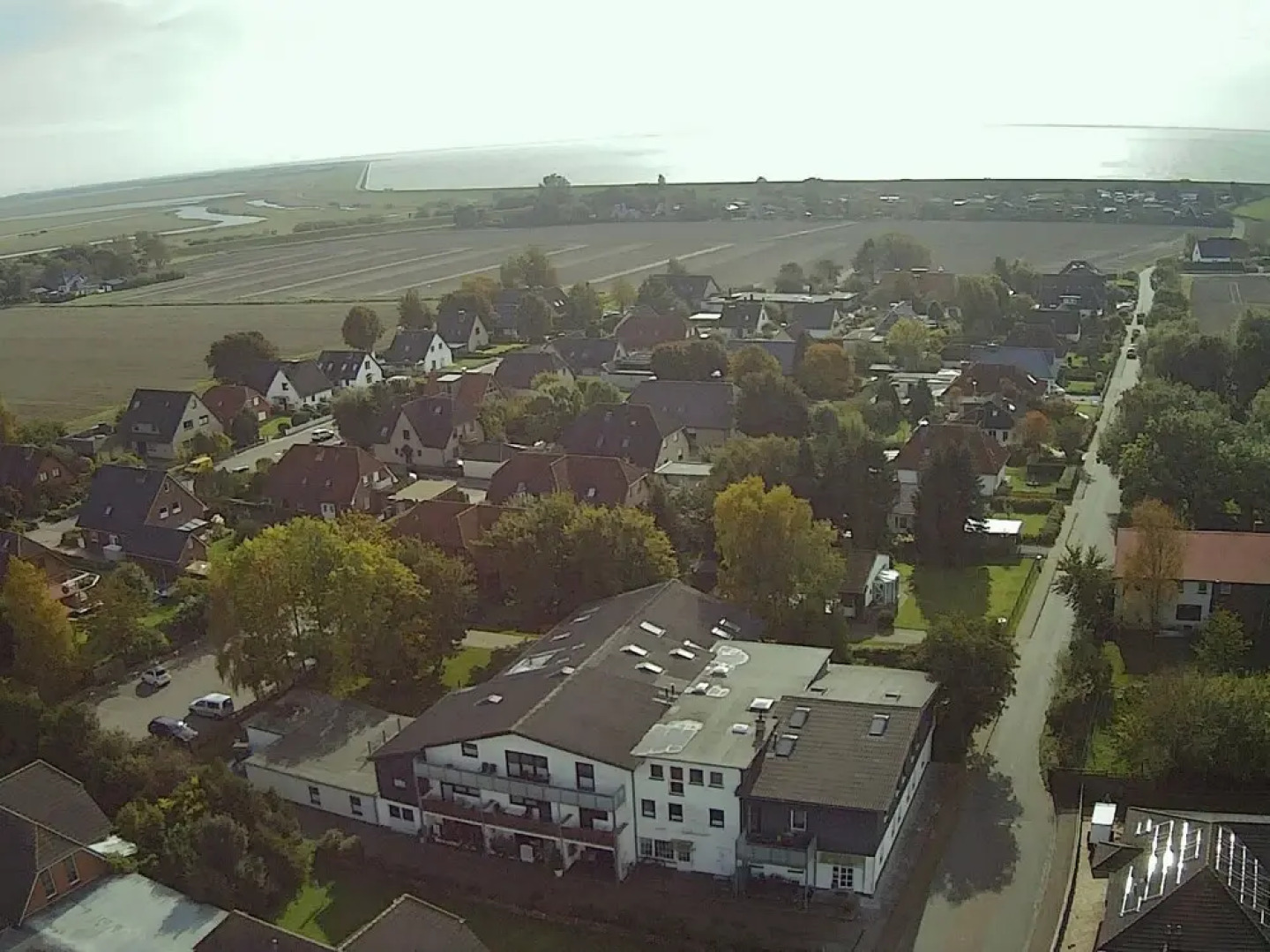 Austernfischer Warwerort