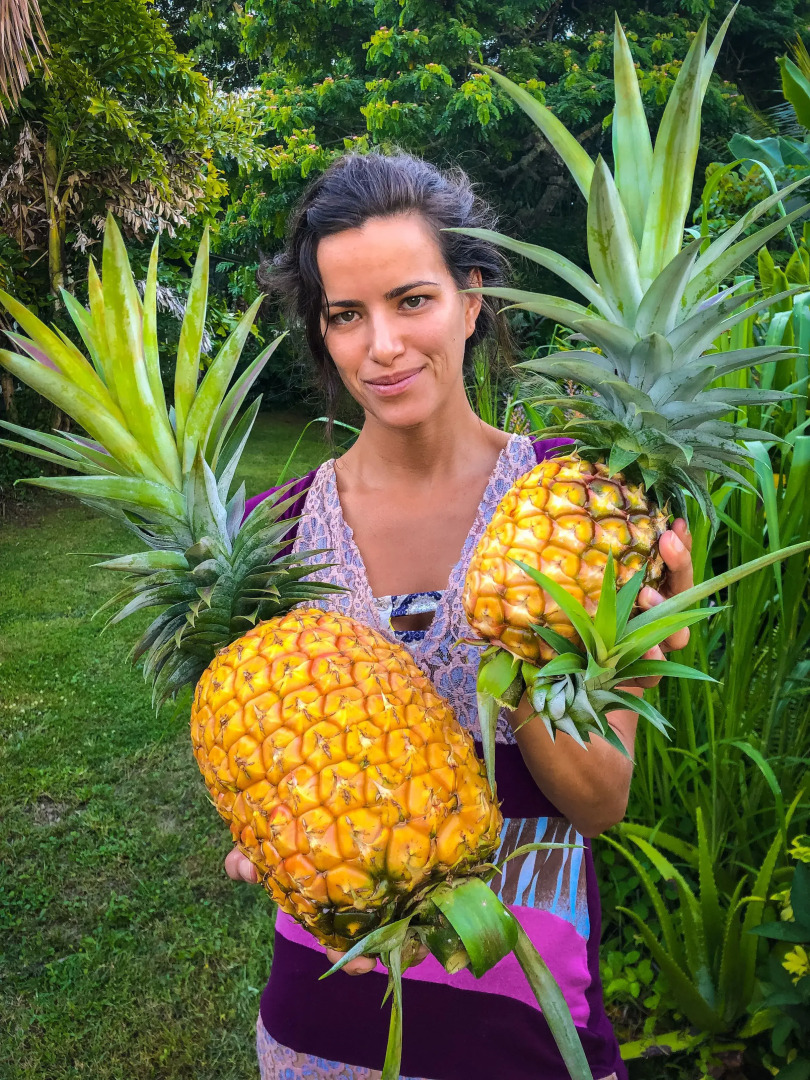 Gingerhill Farm Retreat