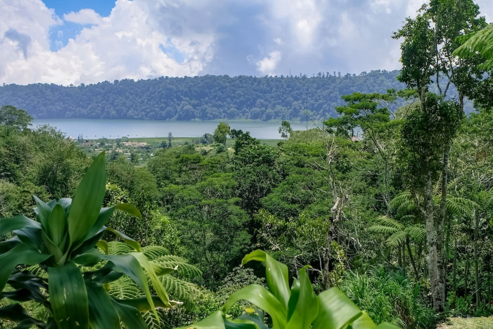 Secret Lodge Bedugul by Taritiya Collection