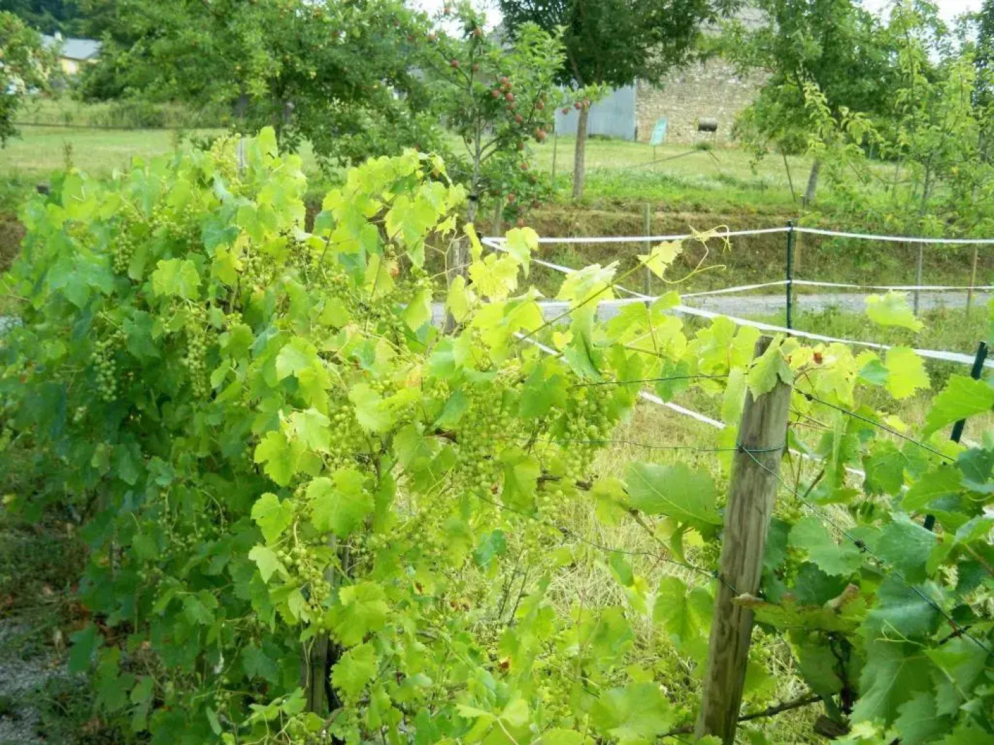 Chambres dHôtes Relais Milord