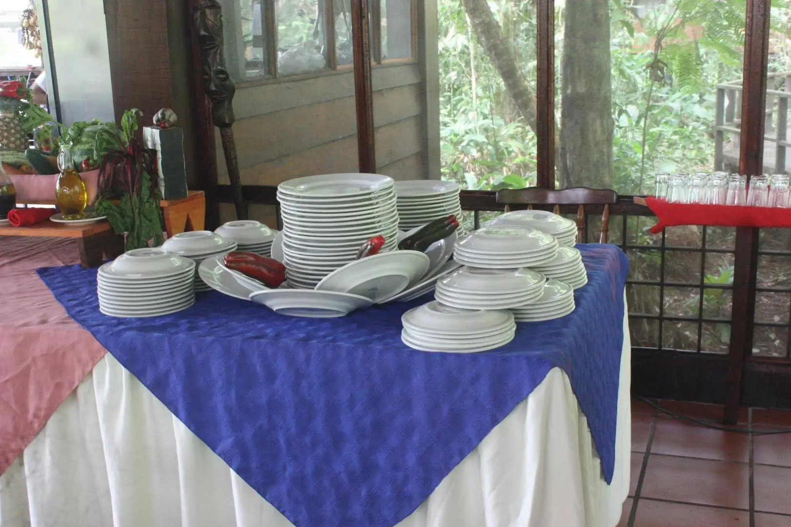 Hotel Rana Roja