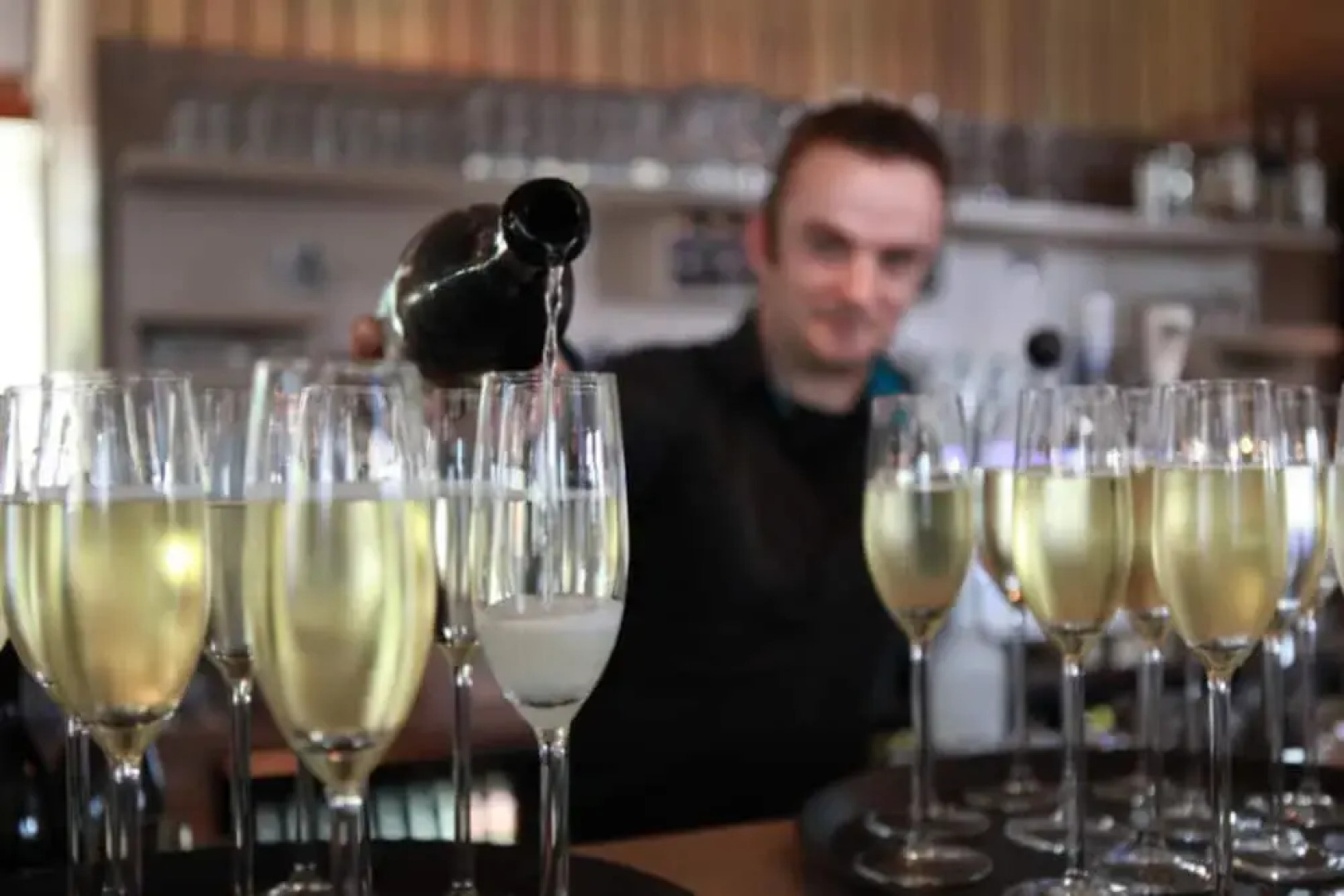 Albatros 12p in Oosterhout