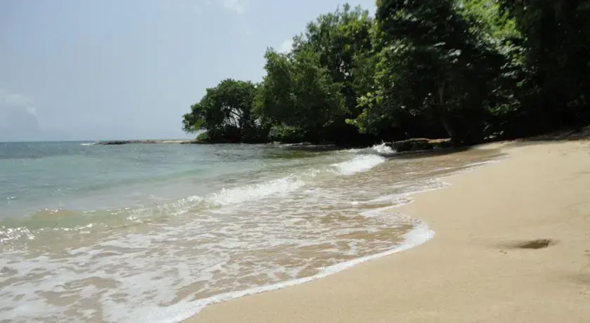 Appartements en Jamaique