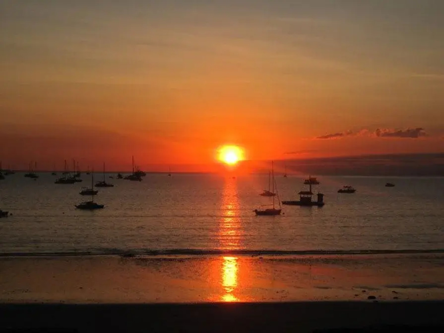 Chalets on Woodlands