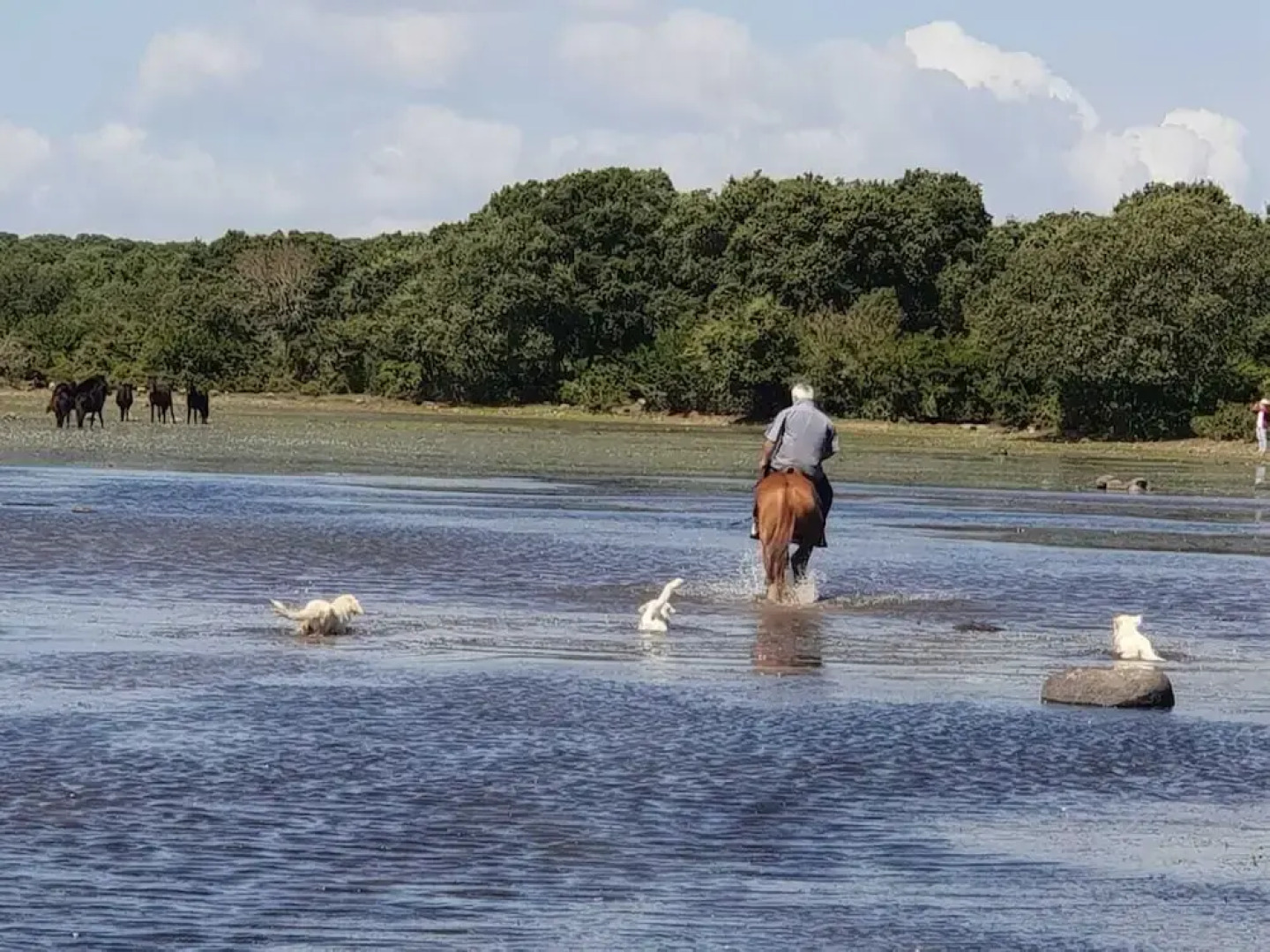 Location Sardinia Borgo Antico XIX