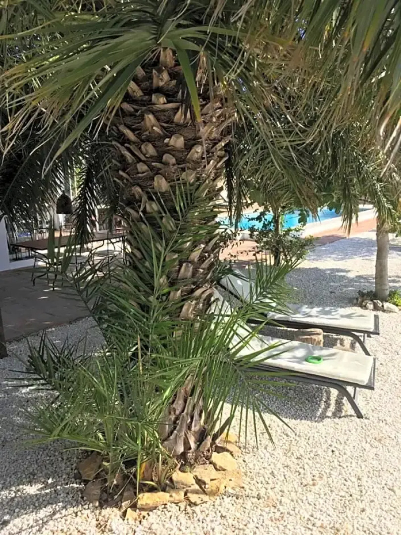 Casa B Bed & Breakfast