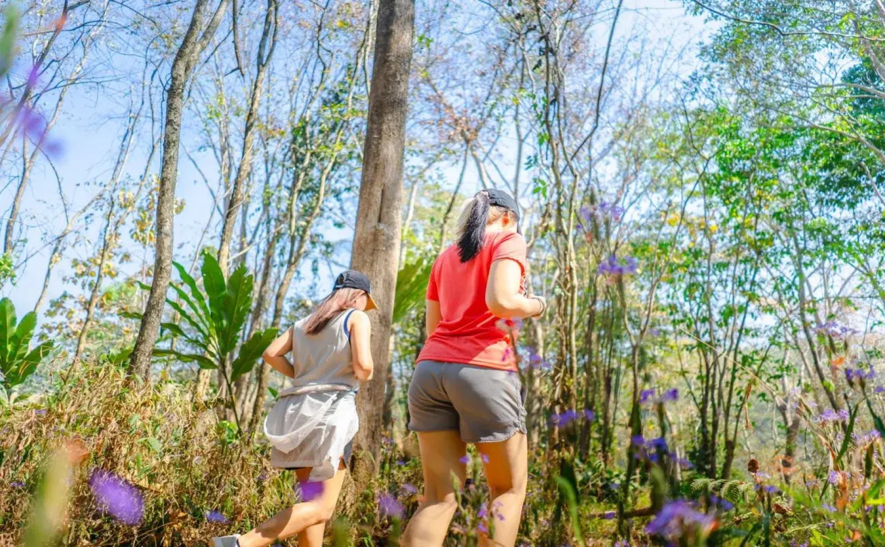 Katiliya Mountain Resort & Spa