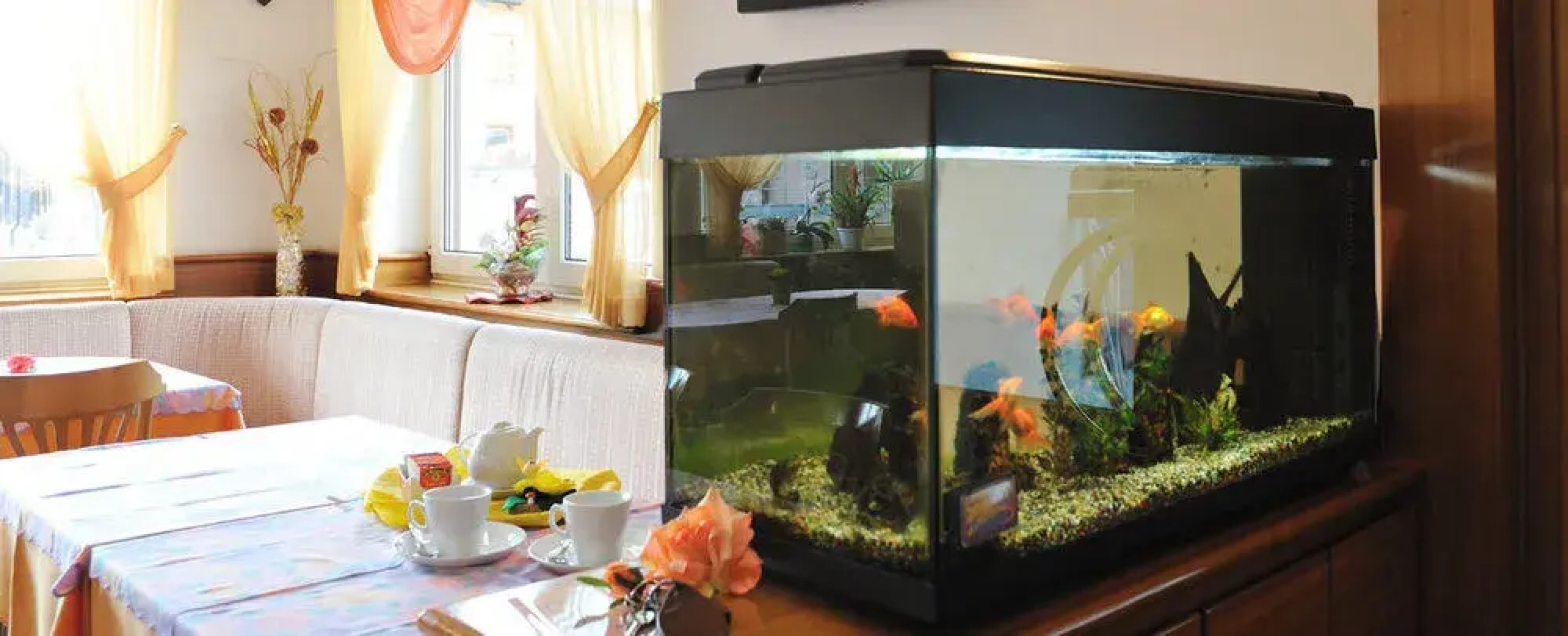 Alpenсolor Hotel Tonale