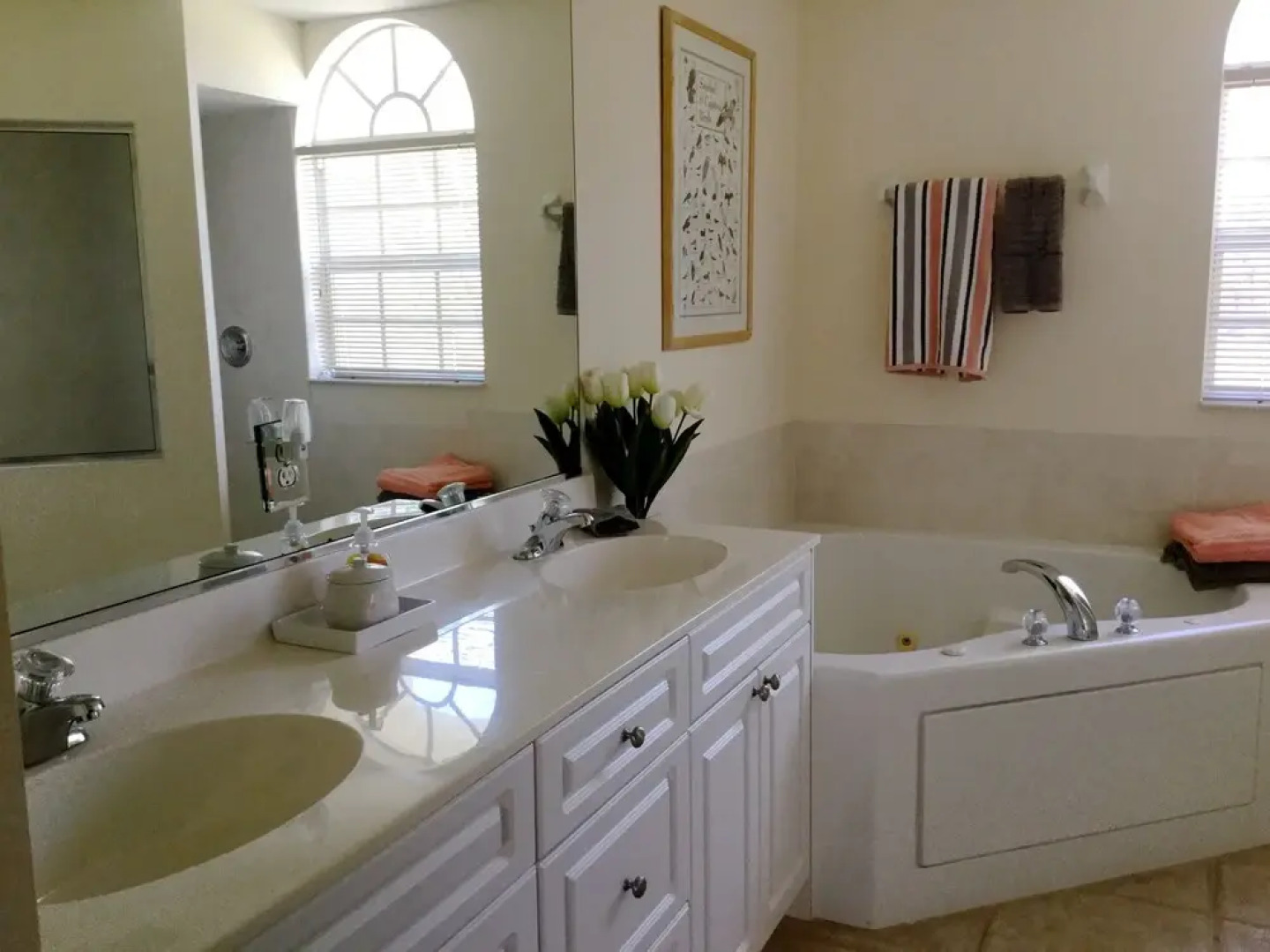 Sunny Daze Rotonda West