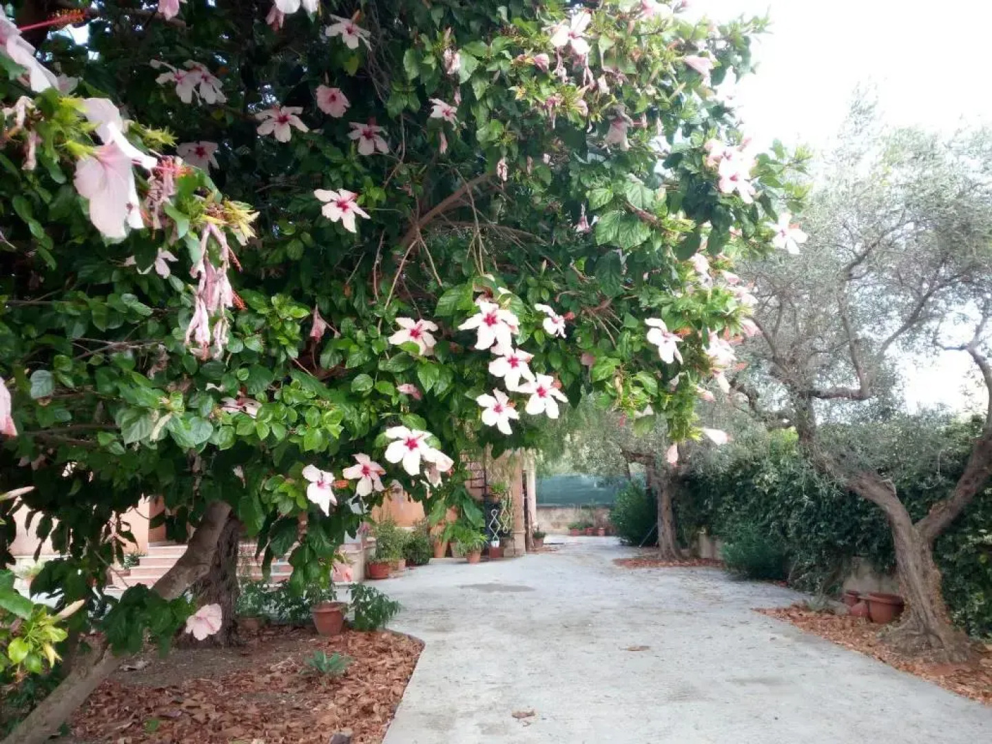 Villetta Marinella di Selinunte