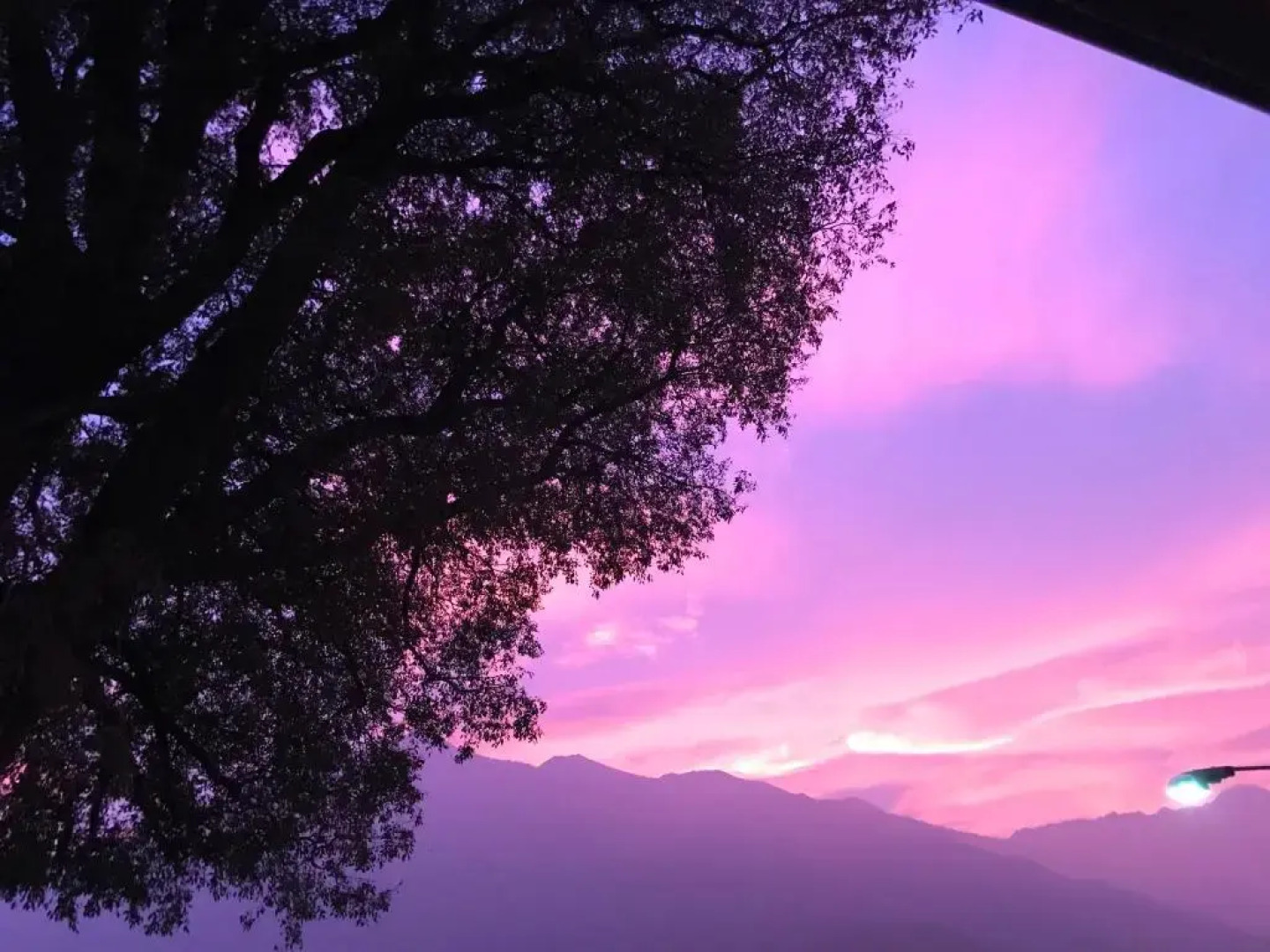 Bed and Breakfast Lalbero Maestro