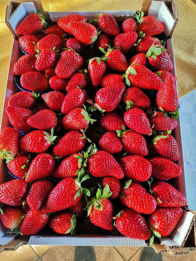 La Fattoria dei Nonni Resort dell'Etna