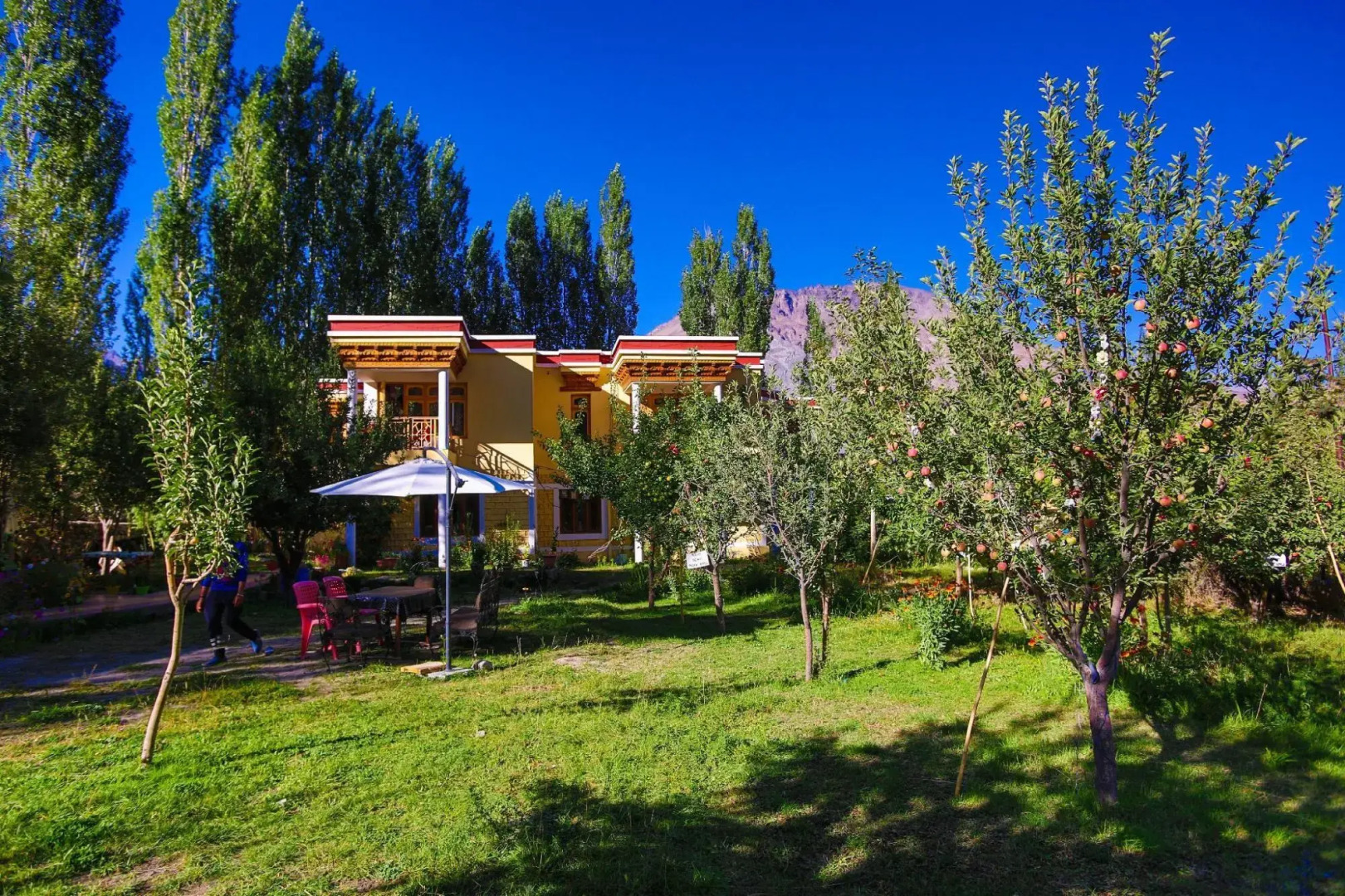 Olgok The Guest House