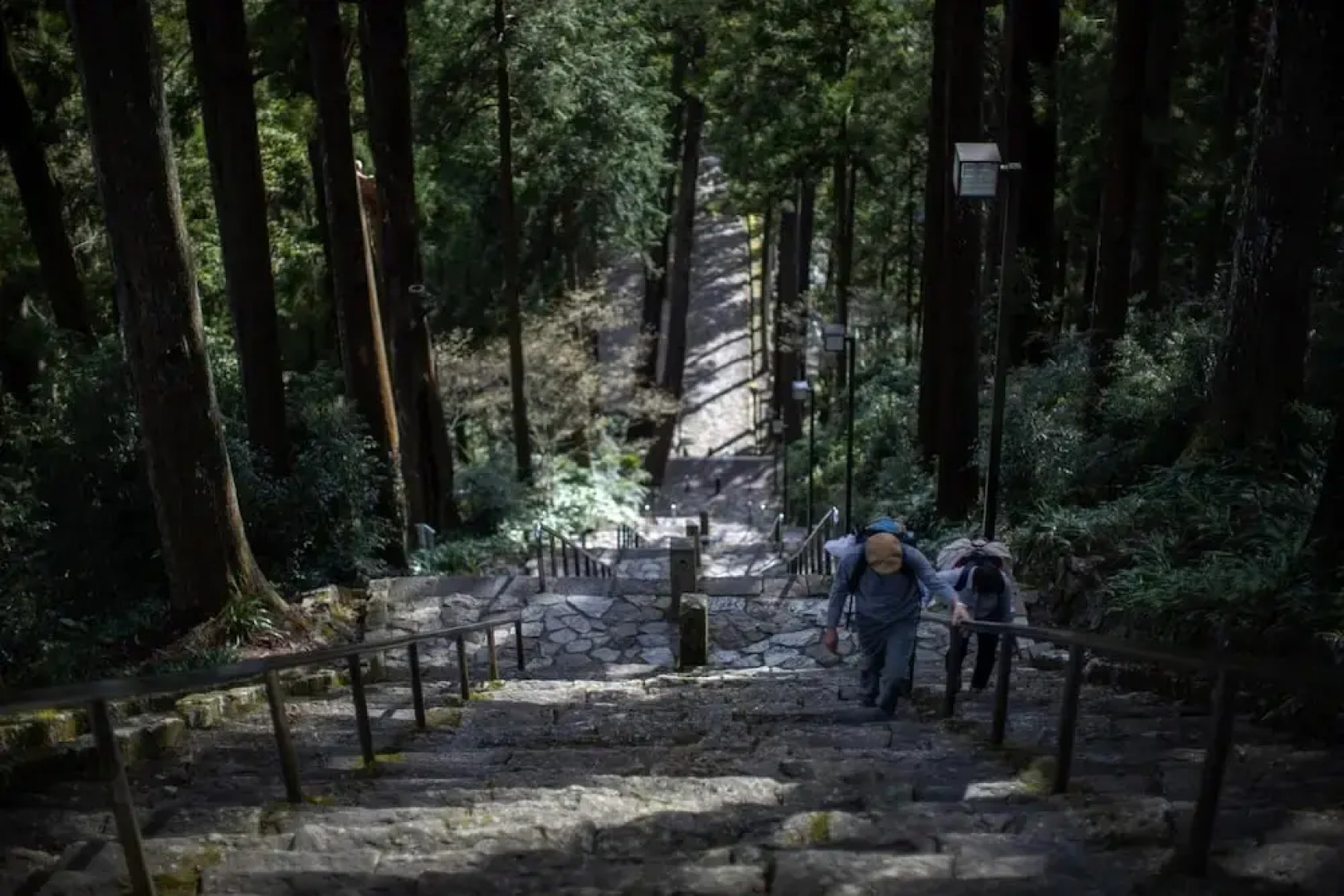 Temple Hotel Habanobo