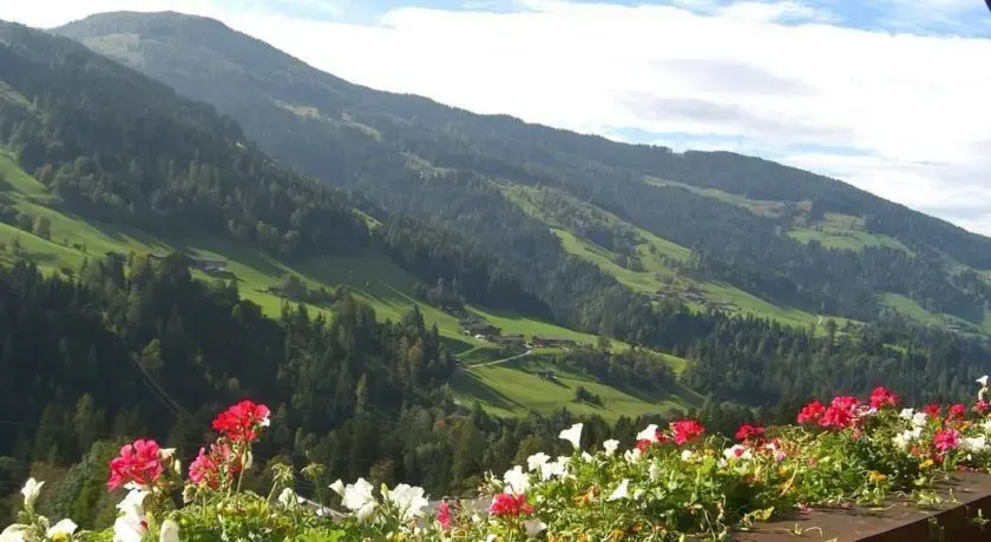 Appartementhaus Schmetterling