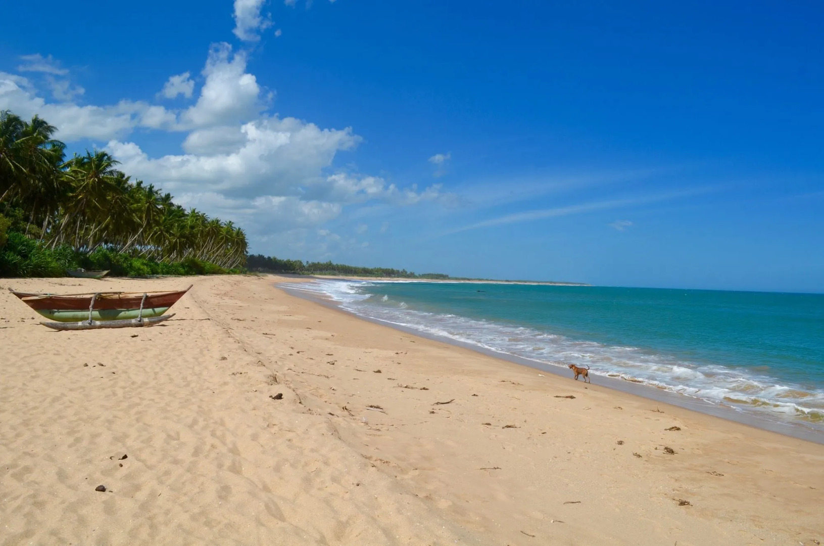 Green Parrot Beach Resort