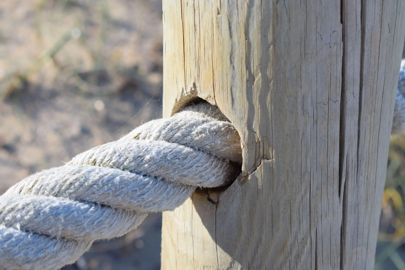 Finca Santa Eugenia 508 by Mallorca Charme