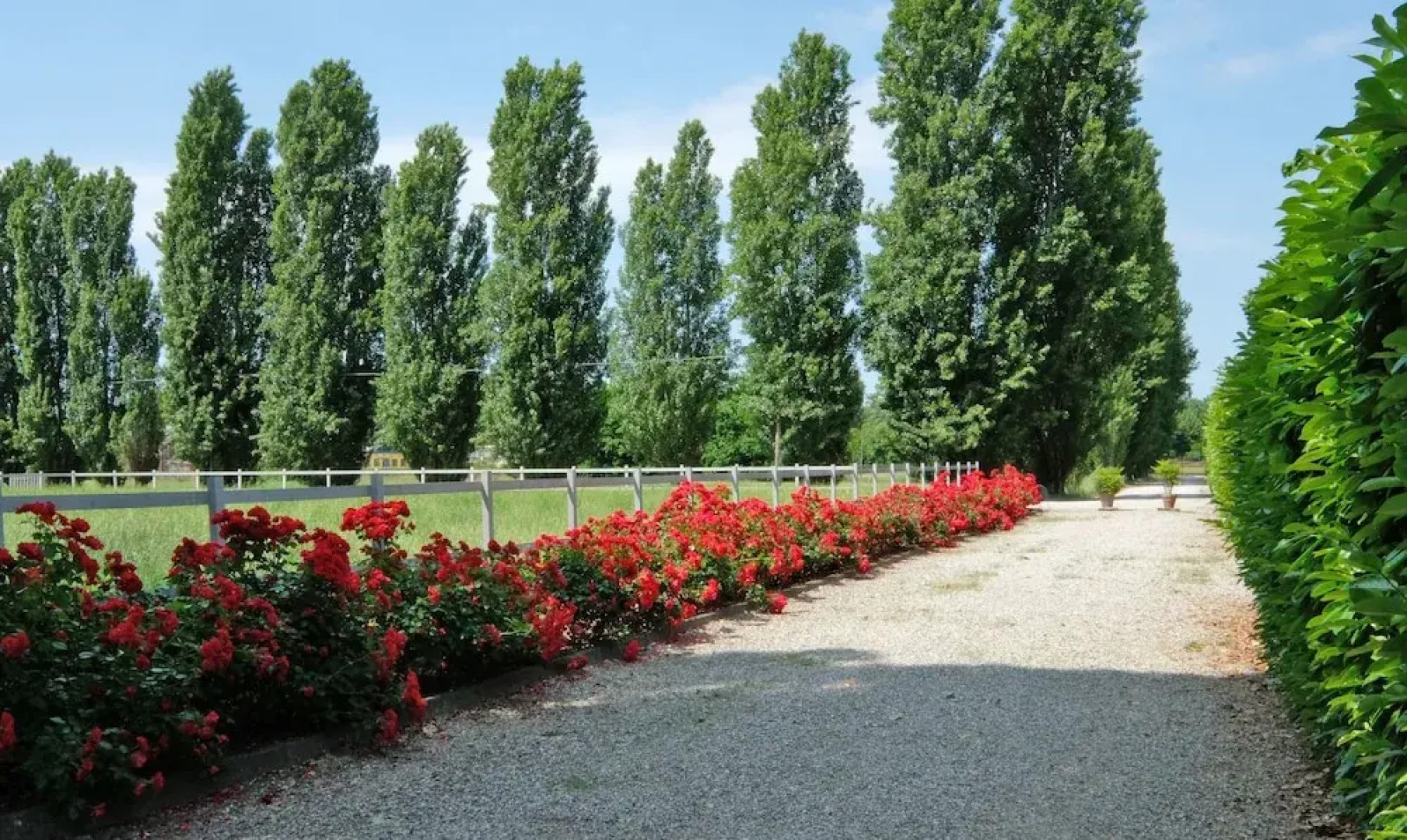 Agriturismo Il Leone della Torre