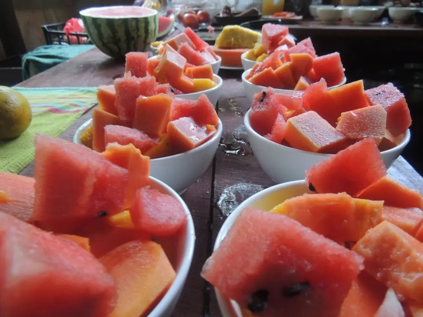 Yatama Ecolodge Sarapiqui