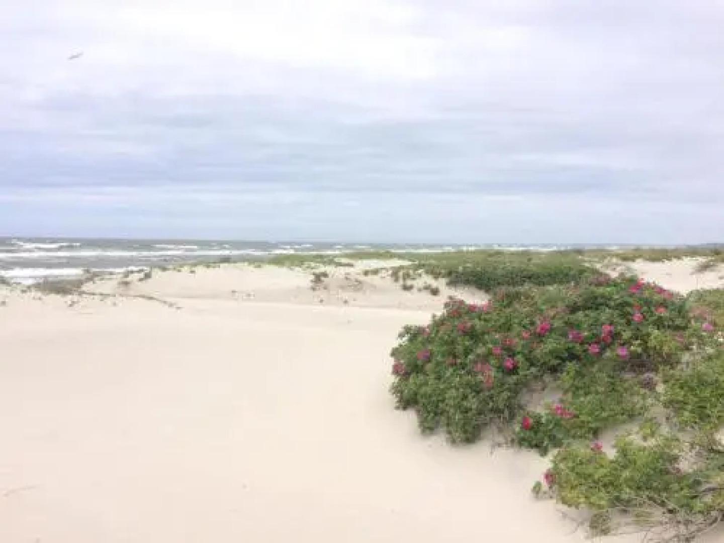 Guest house "Flagman"