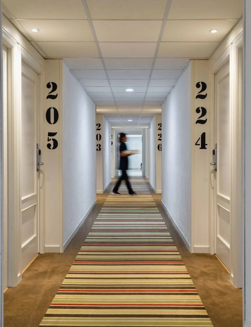 H10 Delfín - Adults Only