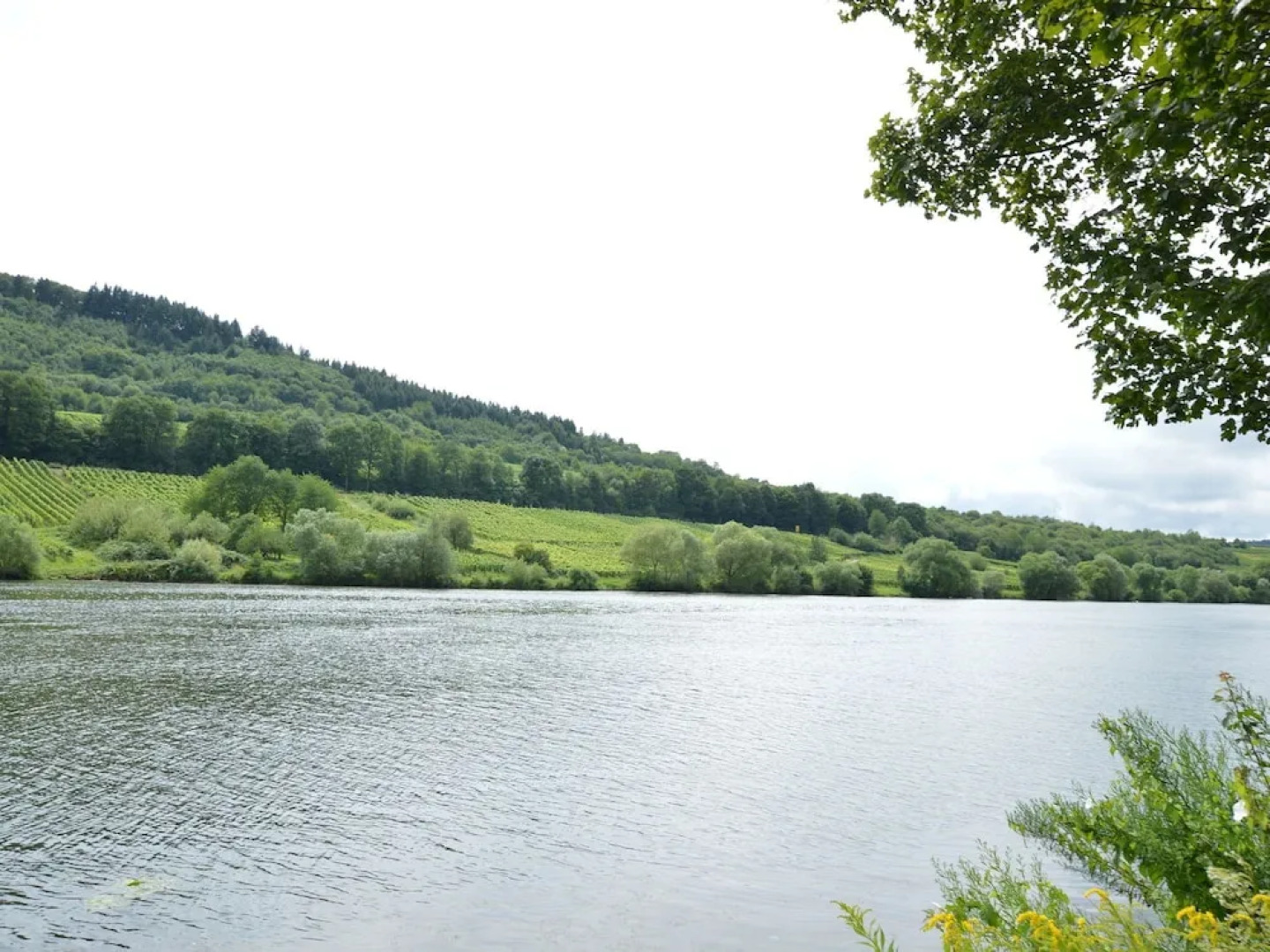 Comfortable Apartment in Zell Near Moselle River