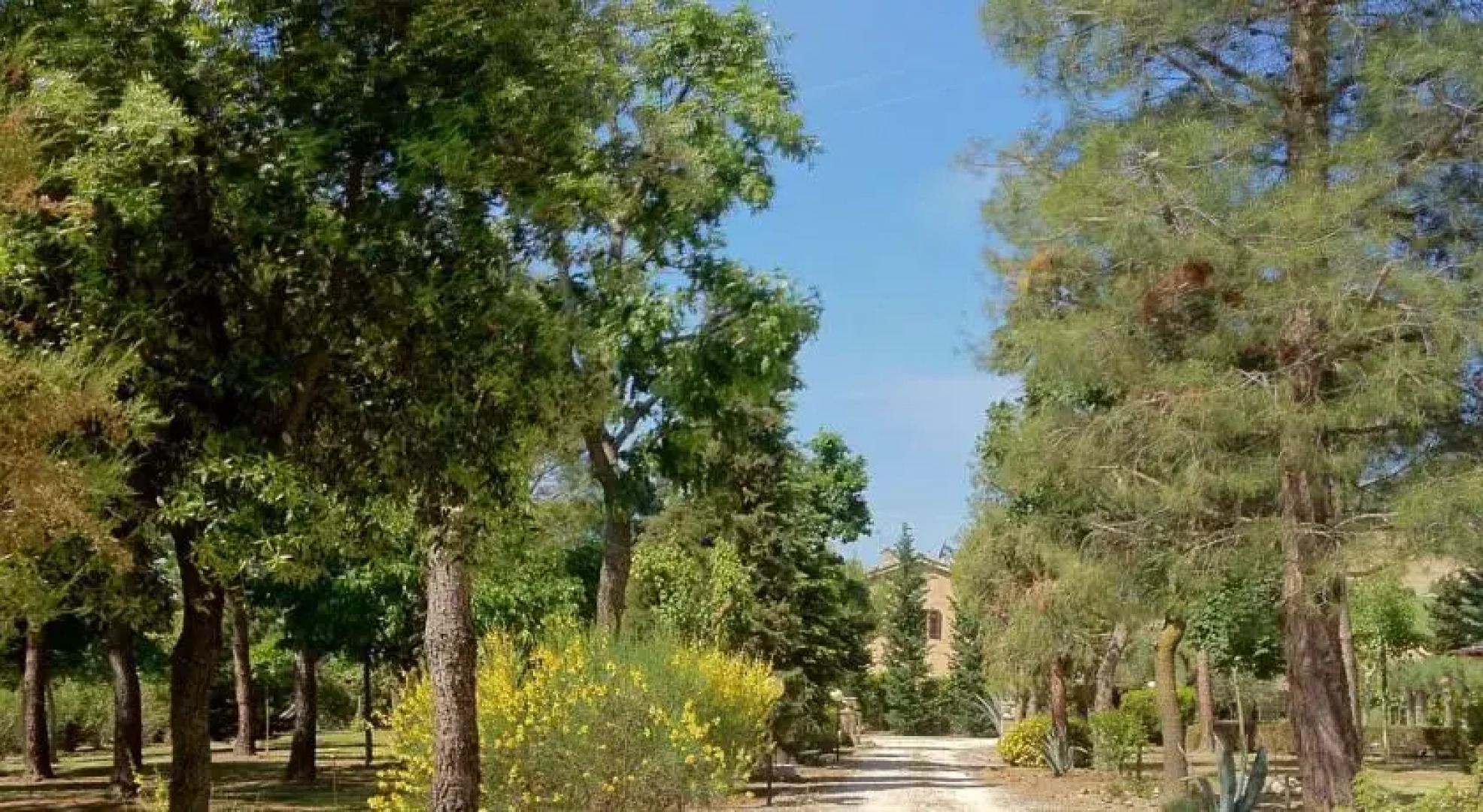 La Sorgente dei Sali