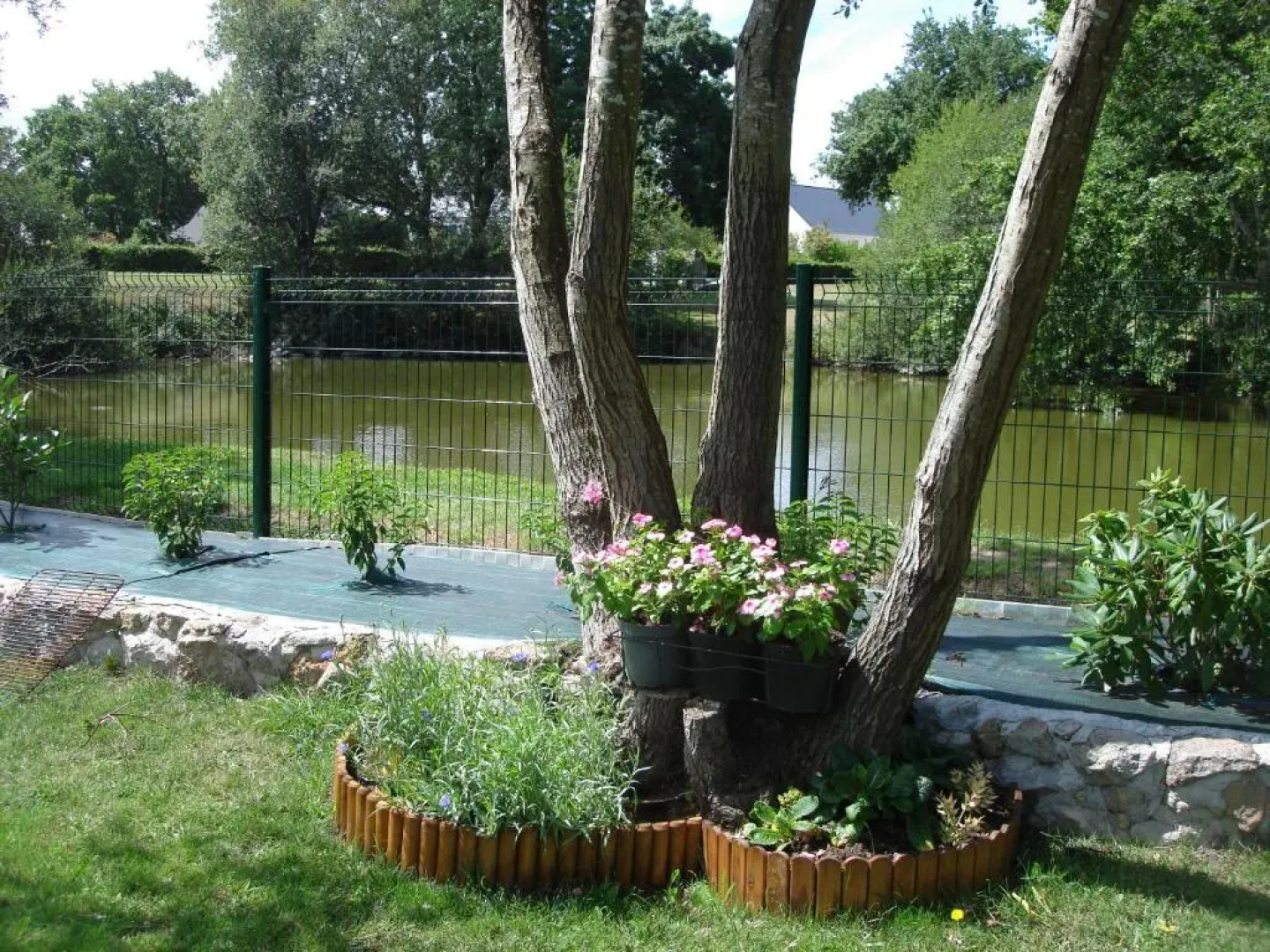 Le Petit Etang