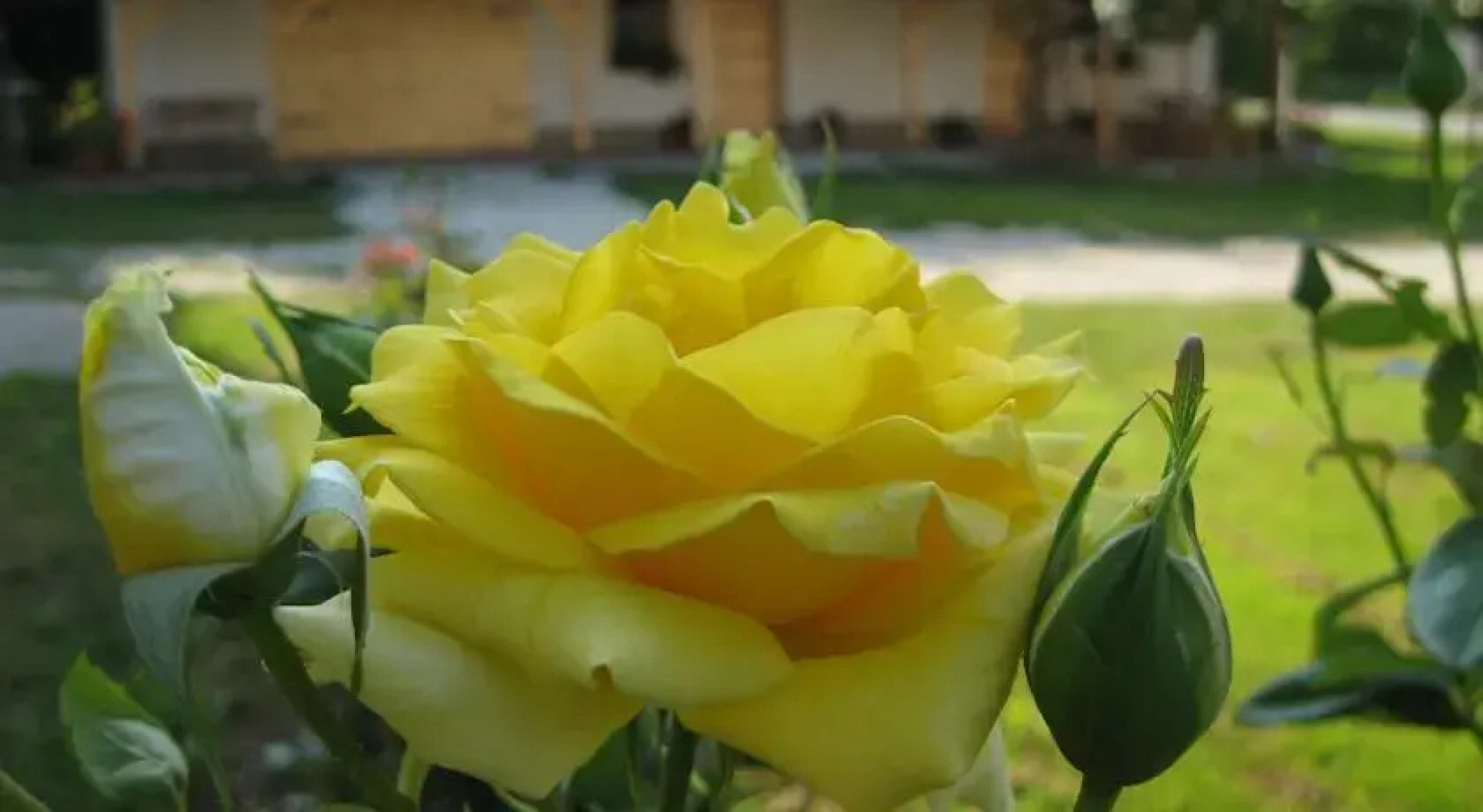 Taligakerék Vendégház