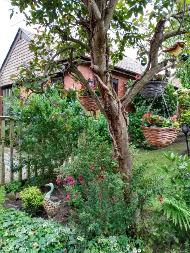 Hollingworth Lake Guest House Room Only Accommodation