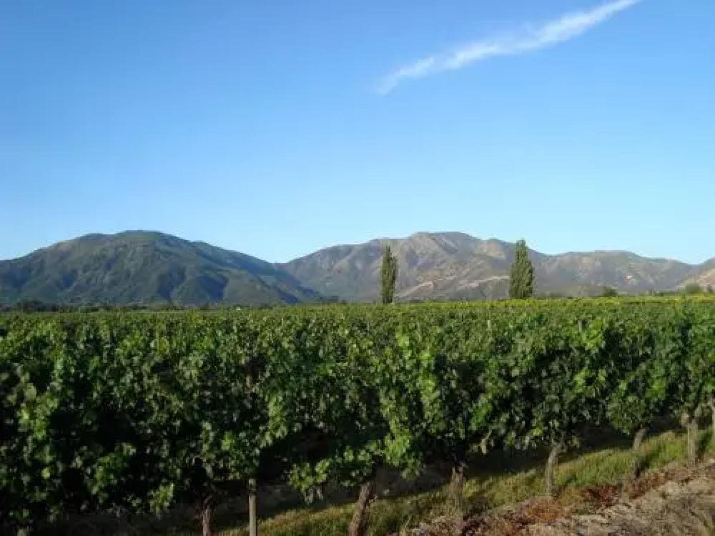 Santa Filomena de Cunaco