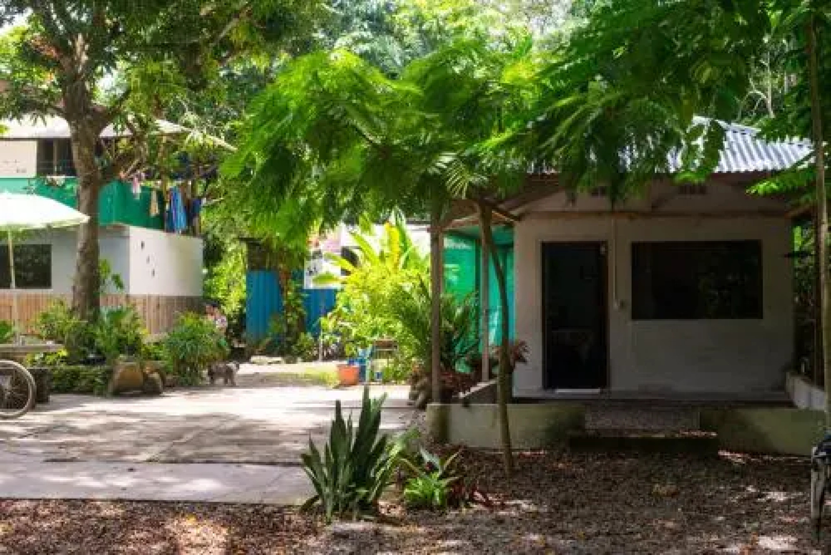 Matapalo Surf School & Beach Cabin